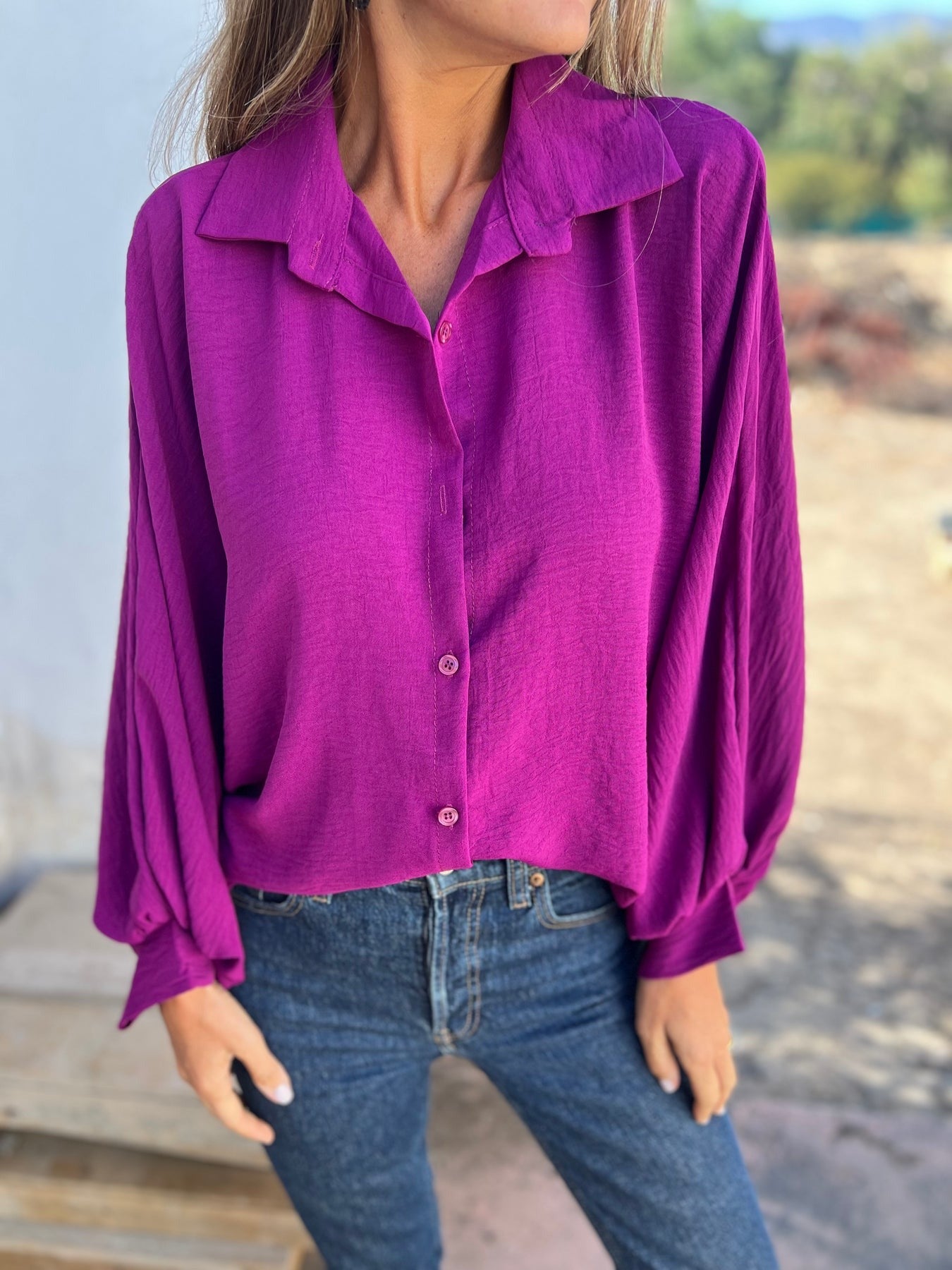 Wide Puffed Sleeves Blouse